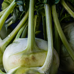 Kohlrabi x 1