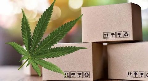 The Importance Of Custom Hemp Boxes For Branding