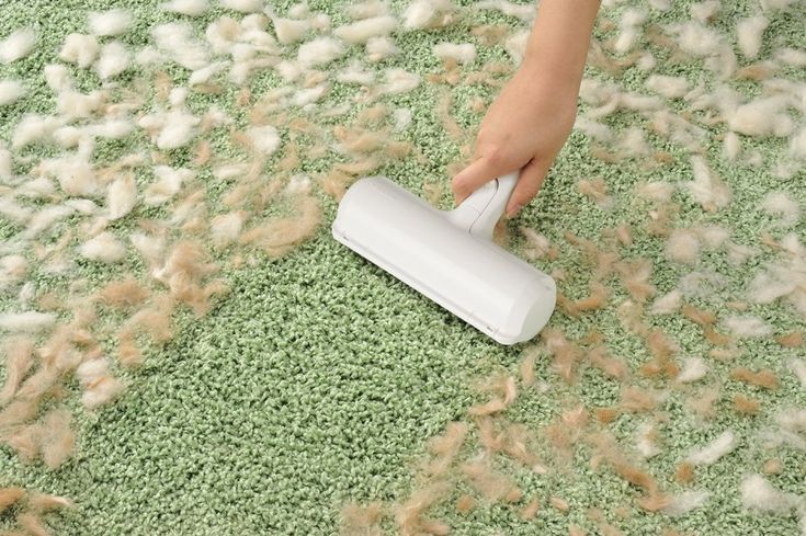 The Hidden Benefits of Using a Quality Sofa and Carpet Cleaner for Indoor Air Quality