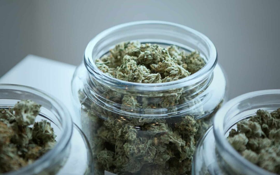 What Expectations Define a Trusted Vermont Recreational Dispensary?