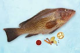 Hamour Fish: A Delicious and Nutritious Seafood Choice