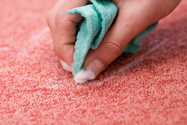 Manassas Carpet Cleaning Near Me: Cardinal Cleaning Solution Offers Dependable Services