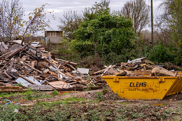 Why Debris Removal Needs Site Clearance