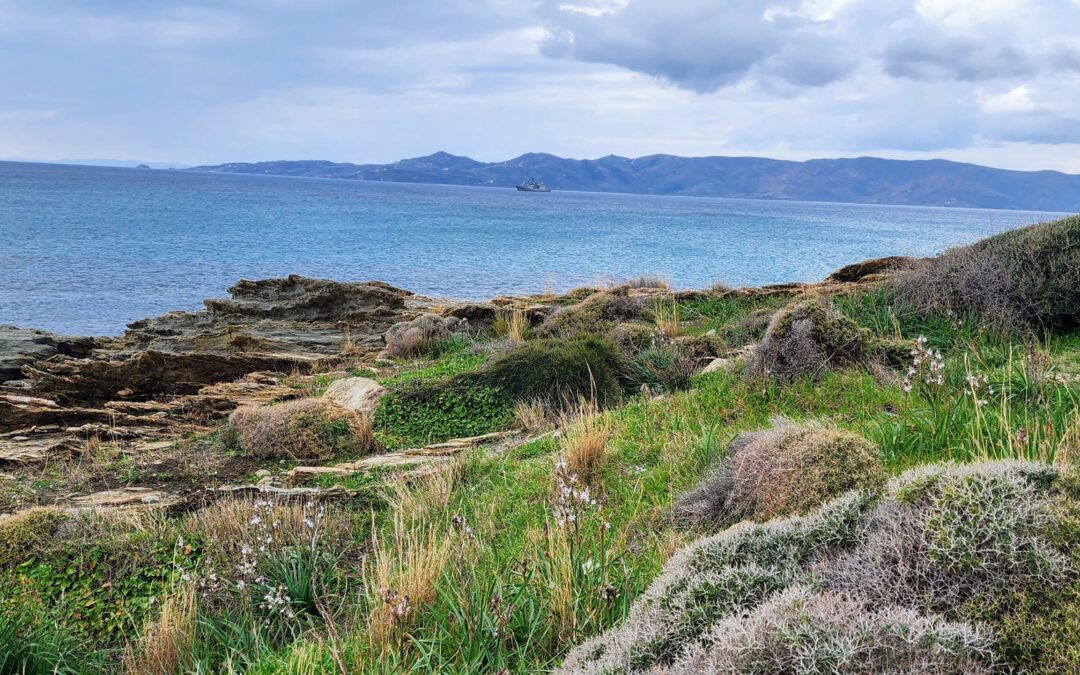 Buying a Villa in Greece