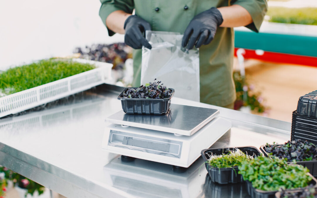 Food Metal Detectors That Help Maintain Hygiene And Safety Standards