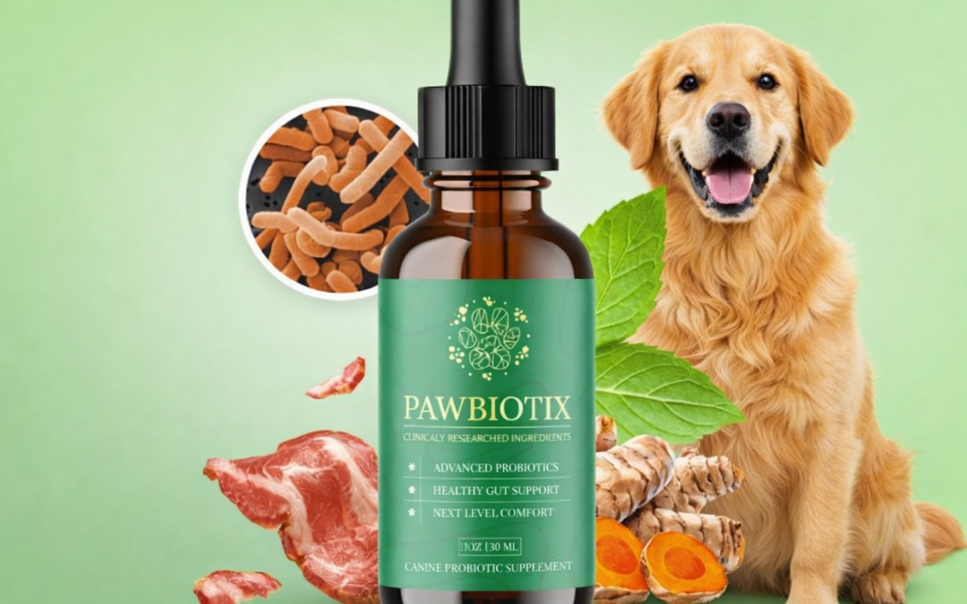Buy Pawbiotix 2026: Official Gut Health Solution for Dogs