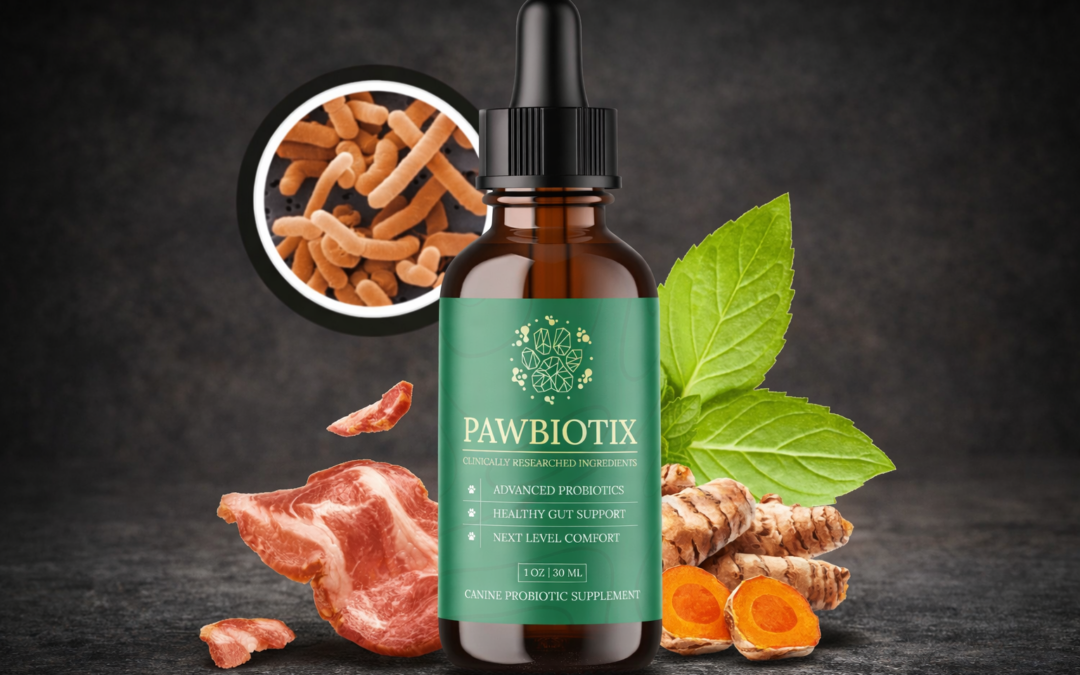 Pawbiotix 2026: Natural Gut Health Support for Your Dog