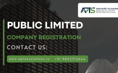 Public Limited Company Legal Structure in India