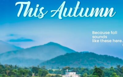 hotel in bhimtal offering a peaceful stay away from city life