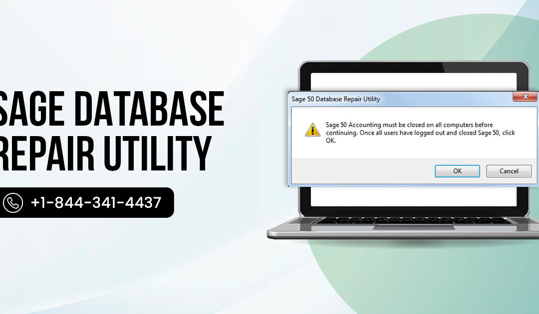sage 50 database repair