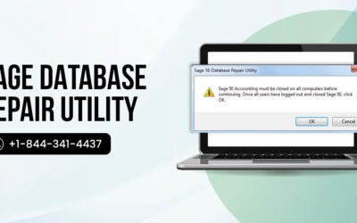 How Do You Complete Sage 50 Database Repair Without Losing Important Data?