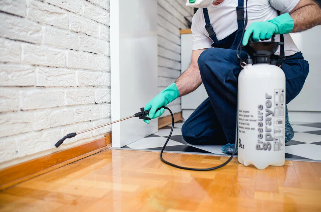 Reliable Pest Control Islamabad Services for a Safer Home and Business