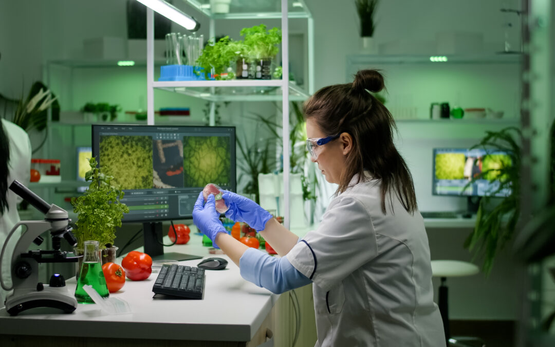 Haccp Certification