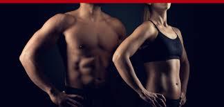 The Complete Healthy Body Blueprint