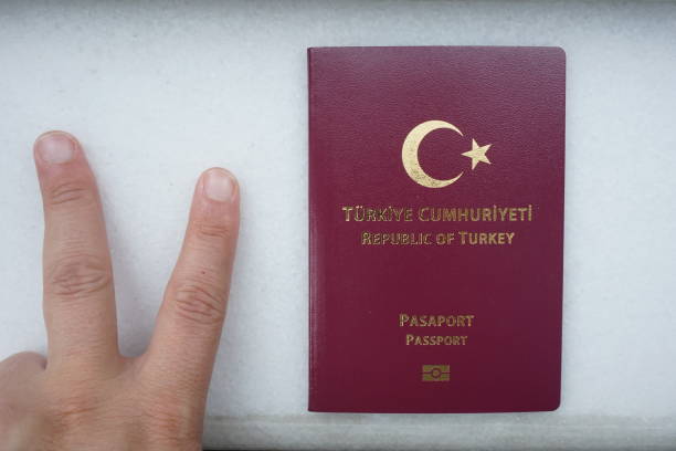 Turkey Tourist Visa Assistance
