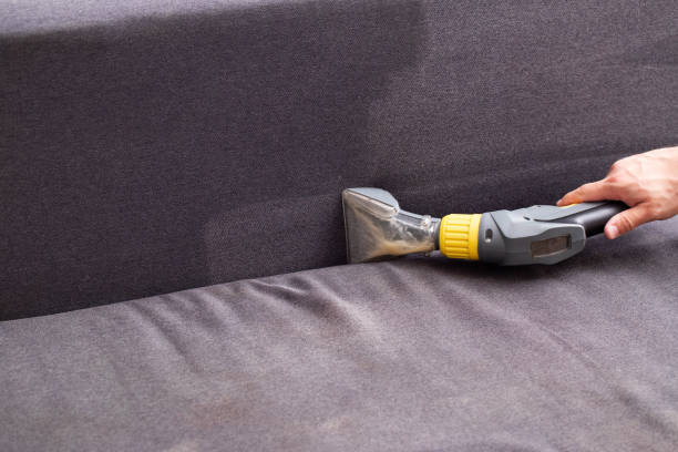 sofa cleaning