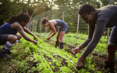 How Community Efforts Support Long-Term Sustainability?