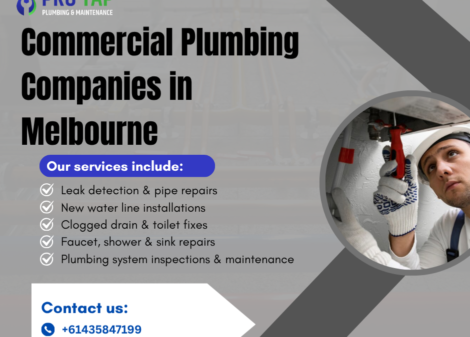 What to Do When You Need a 24 Hour Plumber Near You in Australia