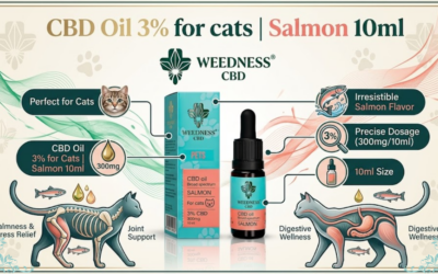 Buy CBD Oil For Cats 3%: Wellness Made Gentle Again