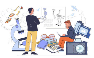Crafting a Successful Bioinformatics Dissertation