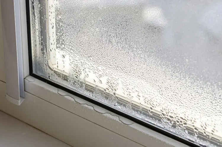 Why Do Window Seals Fail In Homes Today?