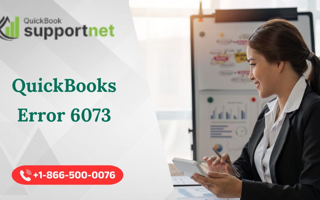 QuickBooks Error 6073