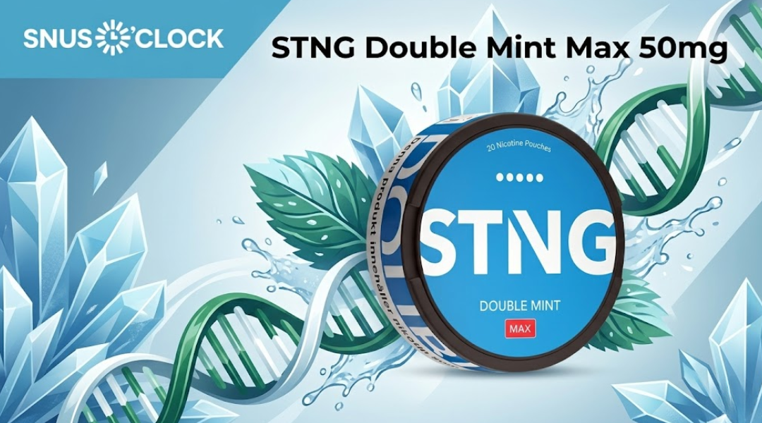STNG Double Mint Max 50mg Online: The Ultimate Arctic Experience