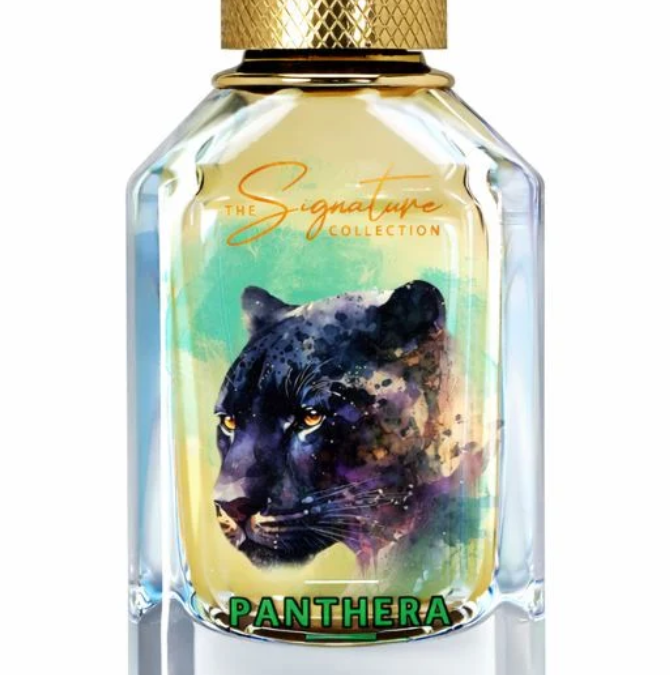 Elevating Personal Style with Signature perfume UAE Defining Identity Through Fragrance