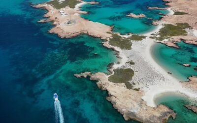 Why Is Daymaniyat Islands Tour Popular Among Tourists?