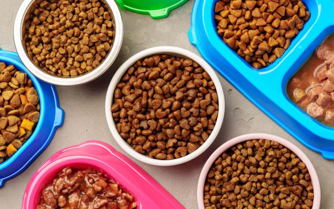 Medicines, Food & Accessories for Pets – Complete Care at Billu & Bella