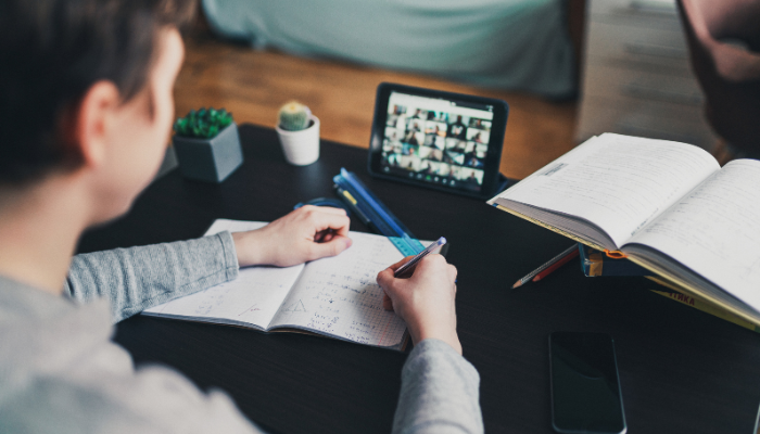 Mastering the Dutch Language Online | A Comprehensive Guide for Beginners and Enthusiasts