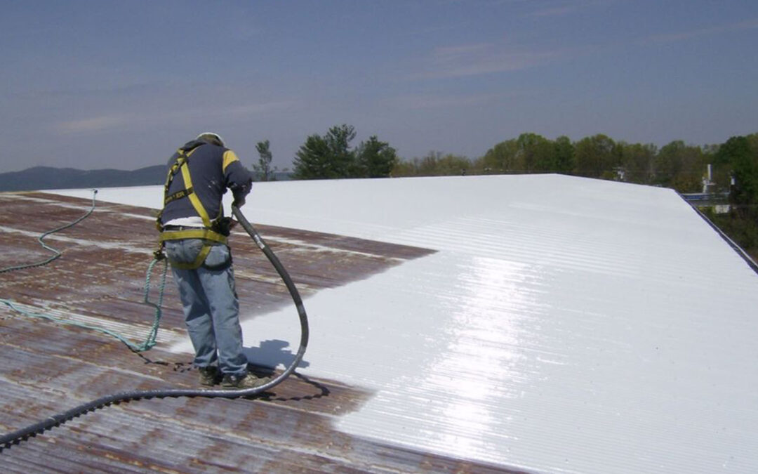 Commercial Roof Cleaning Services: The Complete Guide to Protecting Your Business Investment