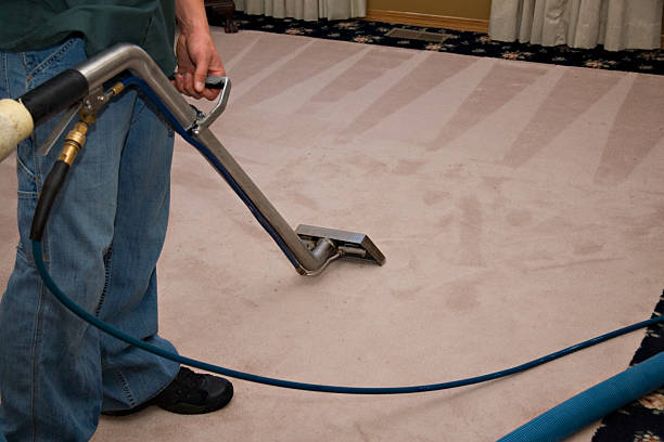 If you're searching for a reliable carpet cleaning service Fairfax, choosing experienced professionals can make a significant difference.